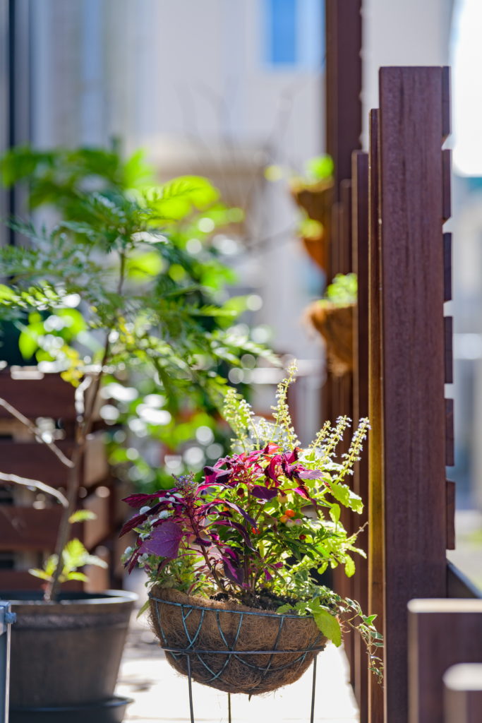 お気に入りの植栽でデッキを彩る。 リビングから見える緑はいつまででも眺めていられそうですね。